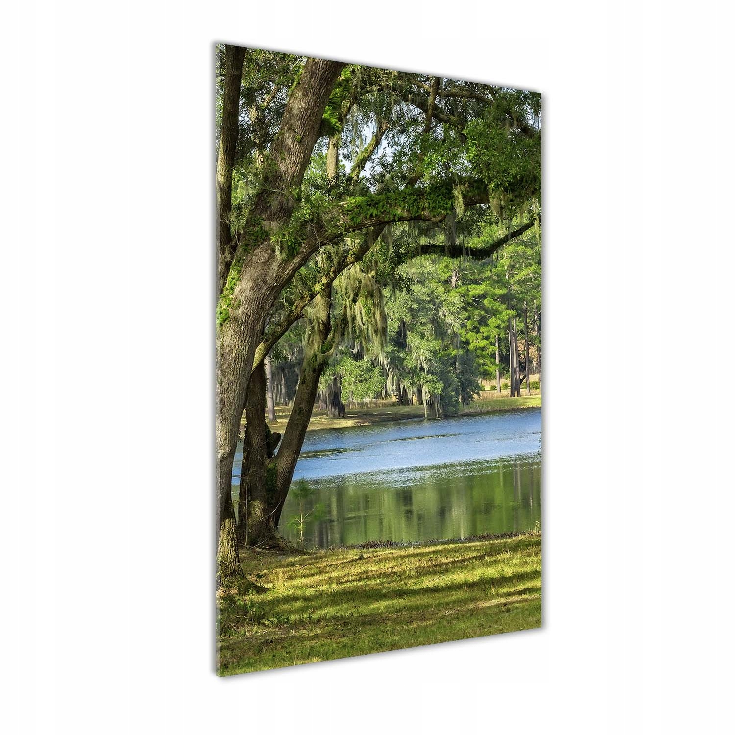 

Foto obraz na szkle pionowy Jezioro w parku 70x140