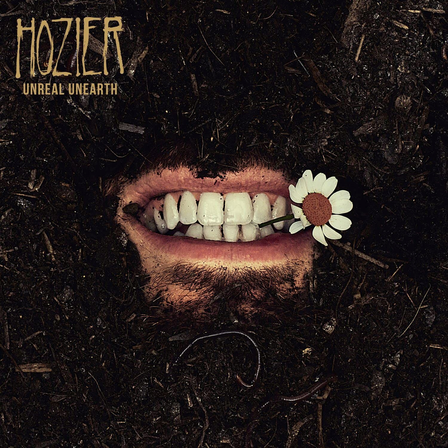 Hozier: Unreal Unearth (2XWINYL)