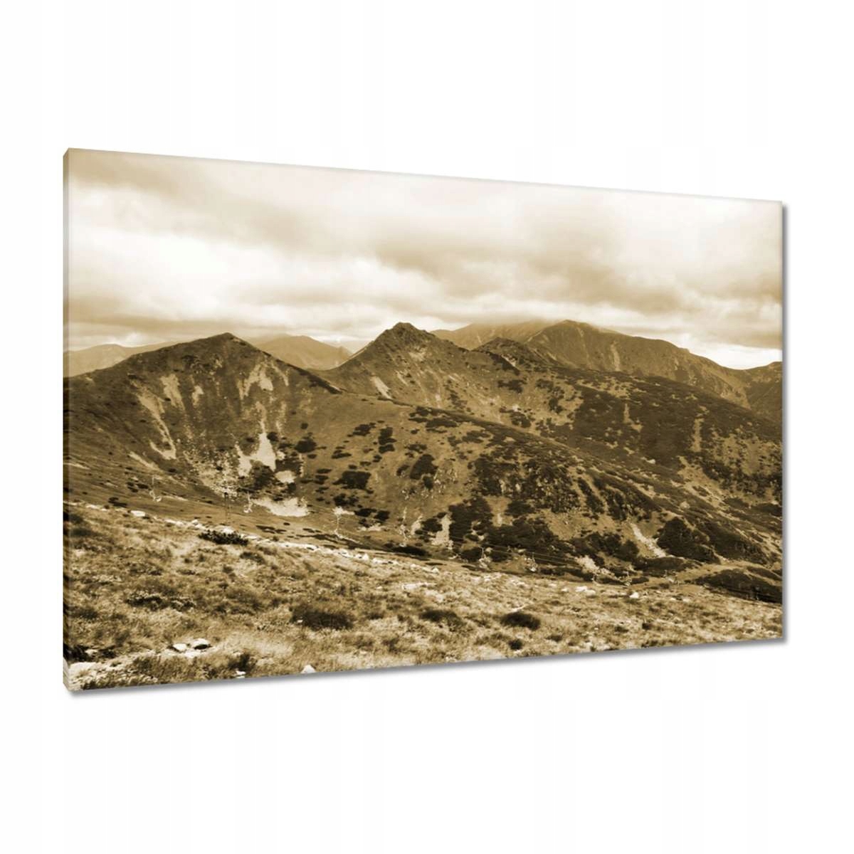 Obrazy 120x80 Tatry Polské hory Pohled