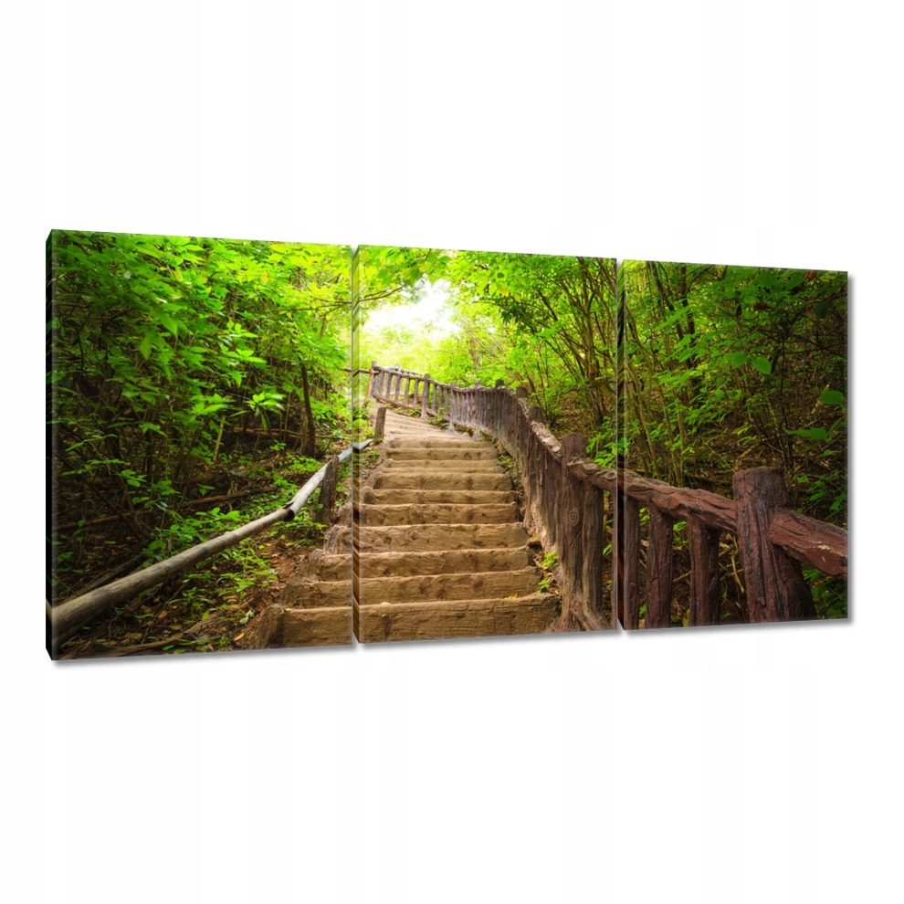 

Obrazy 120x60 Schody do lasu