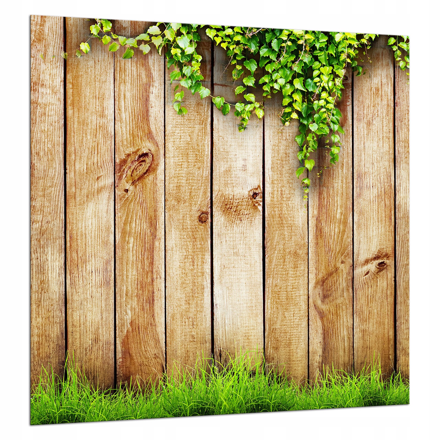 Ochranný Skleněný Panel Do Kuchyně 60x65 Dřevo Lacobel 7v1