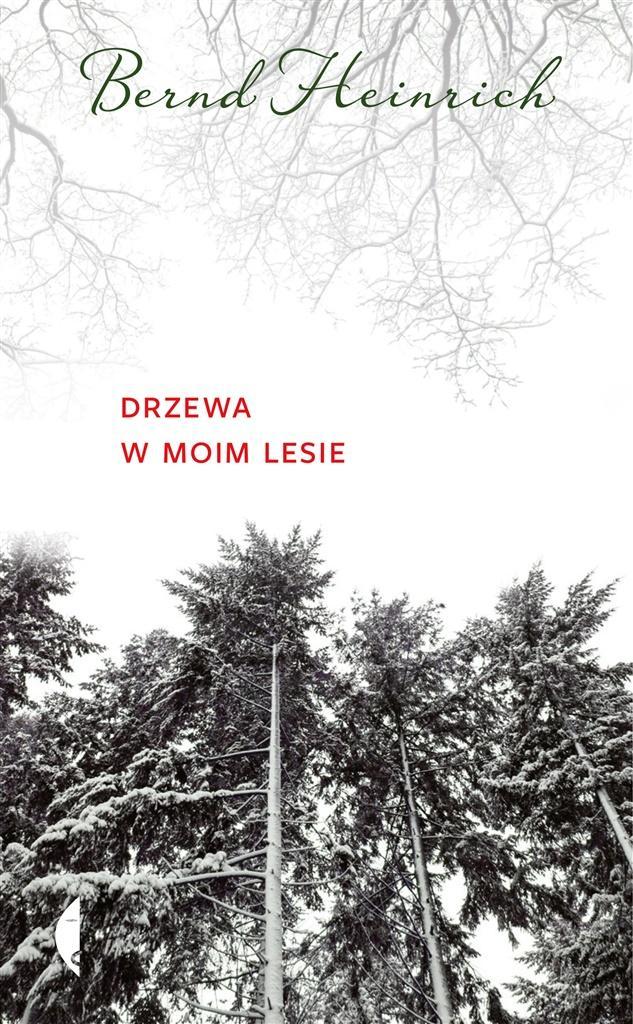 Drzewa W Moim Lesie-Zdjęcie-0