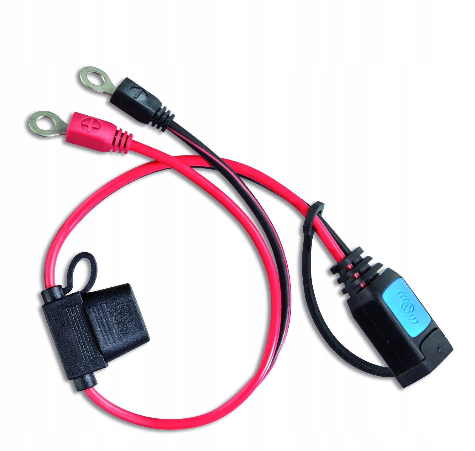 Złączka M6 do ładowarek Victron Blue Power Smart