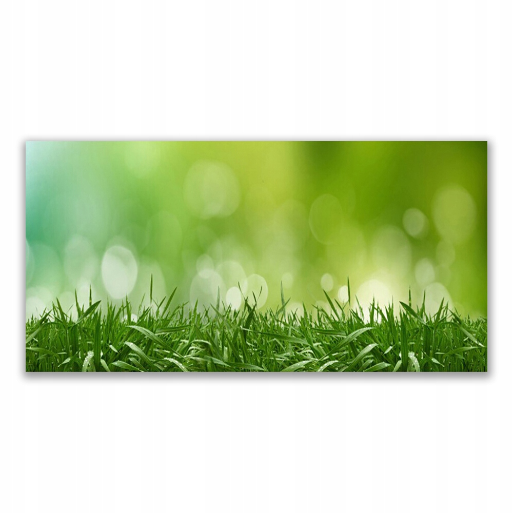 

Obraz akrylowy ścienny 120x60 Trawa Roślina Natura