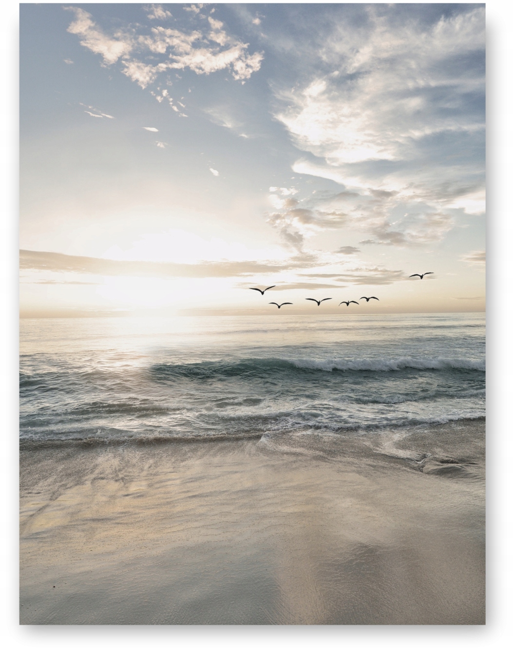 

Plaża Ptaki plakat obraz 30x40 cm obraz #115