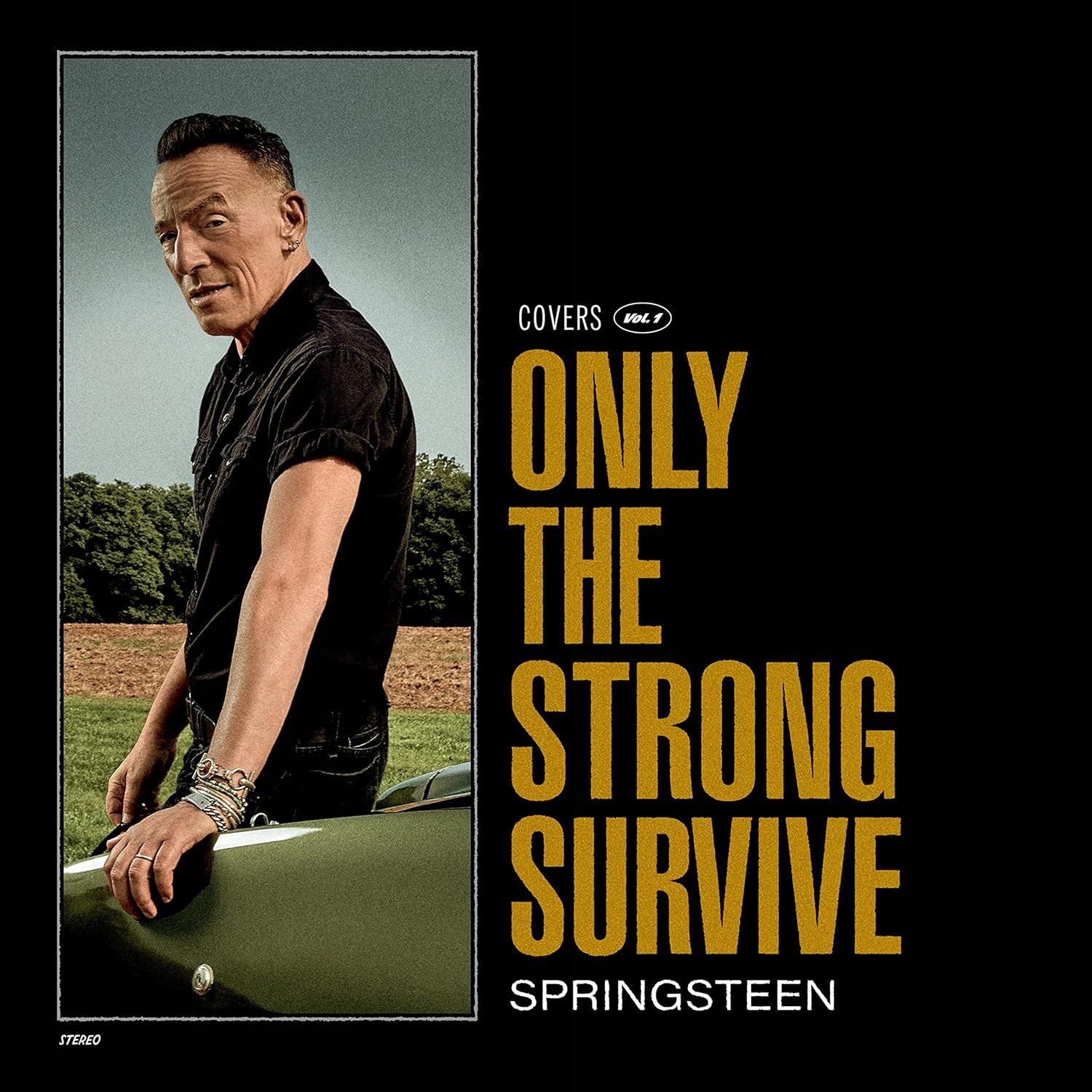 Bruce Springsteen: Only The Strong Survive [2XWINYL]