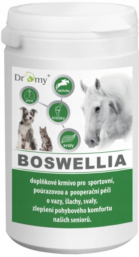 Dromy Boswellia Serrata 750g