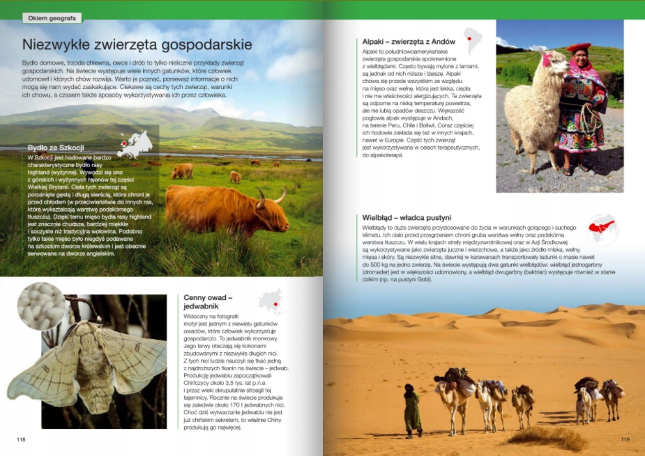 OBLICZA GEOGRAFII 2 PODRĘCZNIK NOWA ERA LICEUM ZP Język publikacji polski