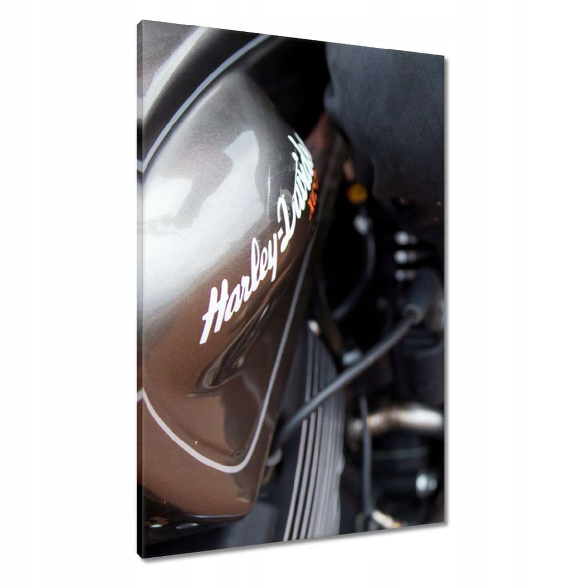 Obrazy 60x90 Harley Davidson Motocykl