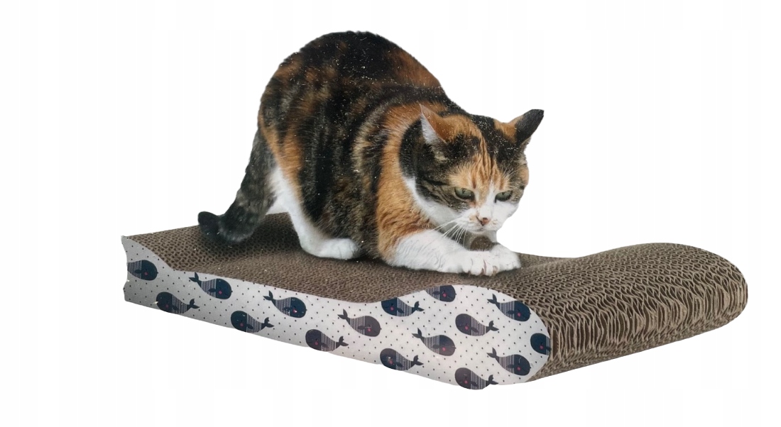 

Drapak Tekturowy 2w1 Legowisko Dla Kota Kocimiętka