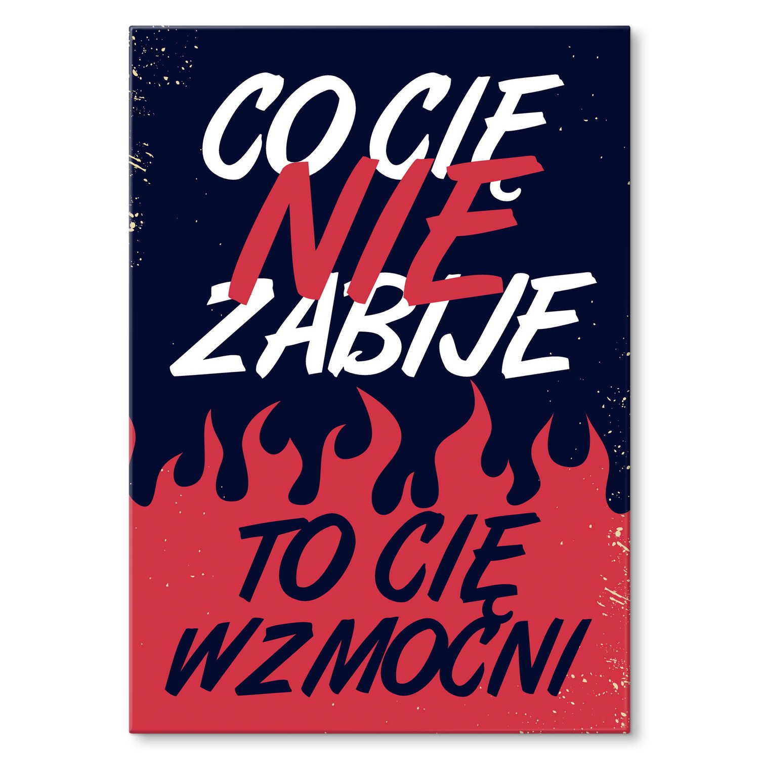 Kovový plakát Co tě nezabije Dárek 30 x 42 cm