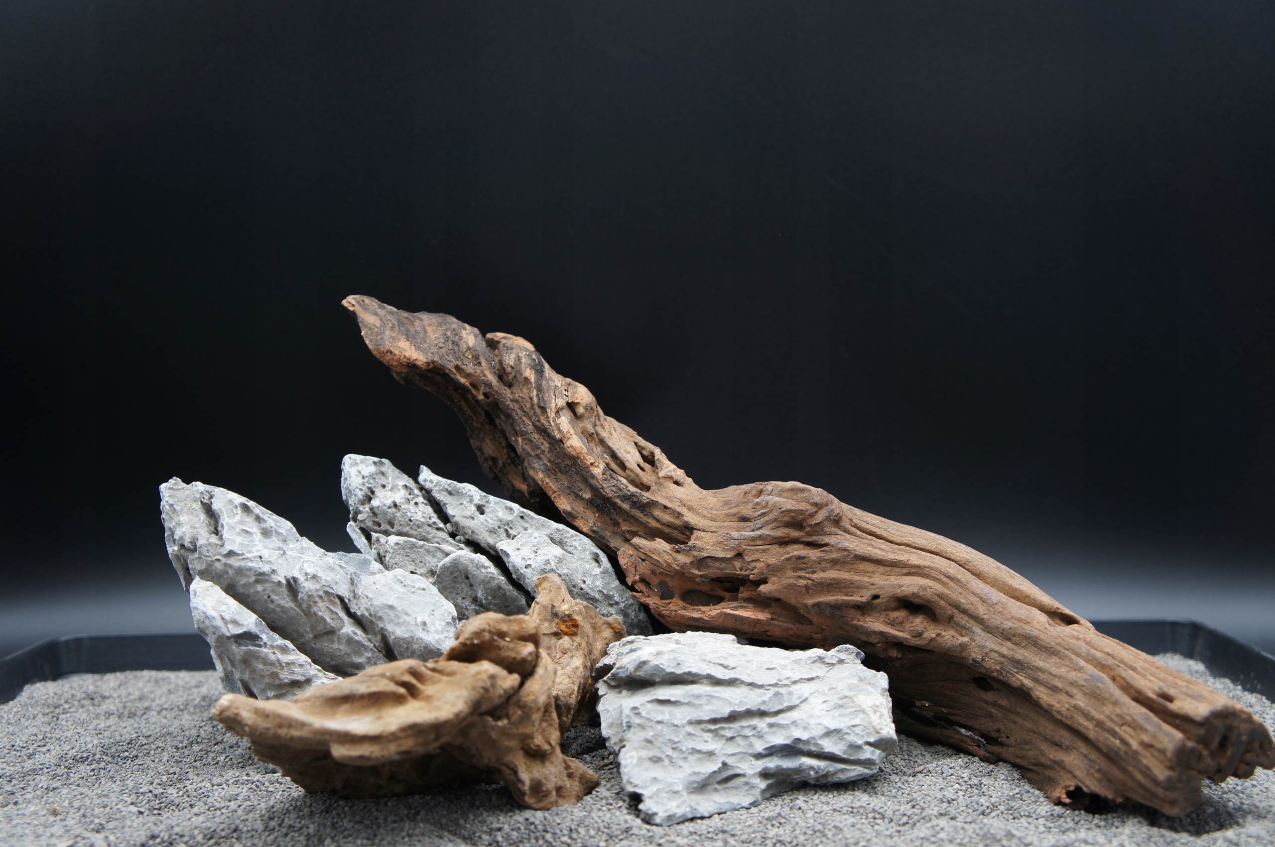 Levně Kořeny jaggedového dřeva kameny scenéry stone Set Z Fotografie (A5)