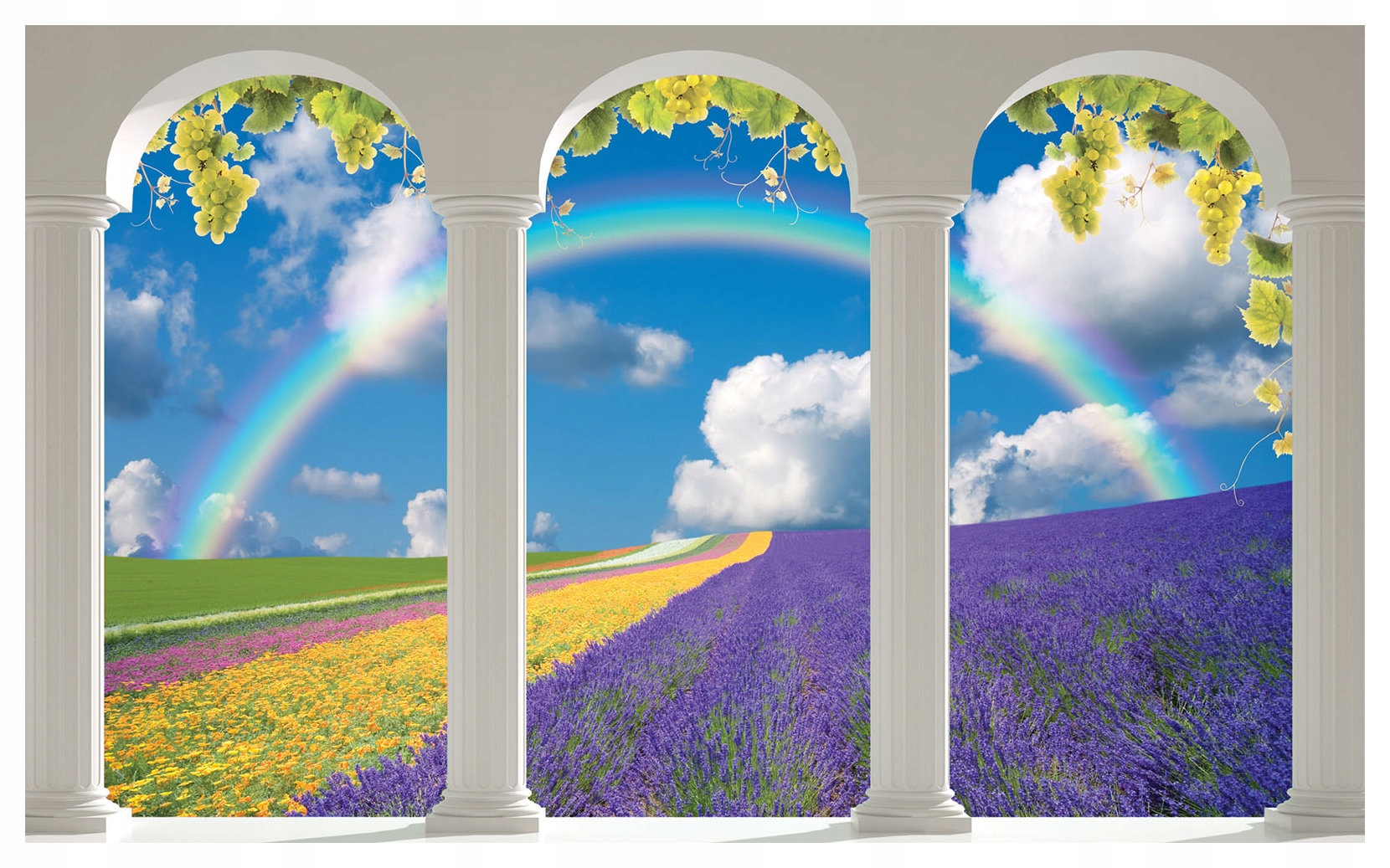 Fototapeta Levandule duha a hroznové víno Provensálské krajiny 208x146 lepidlo