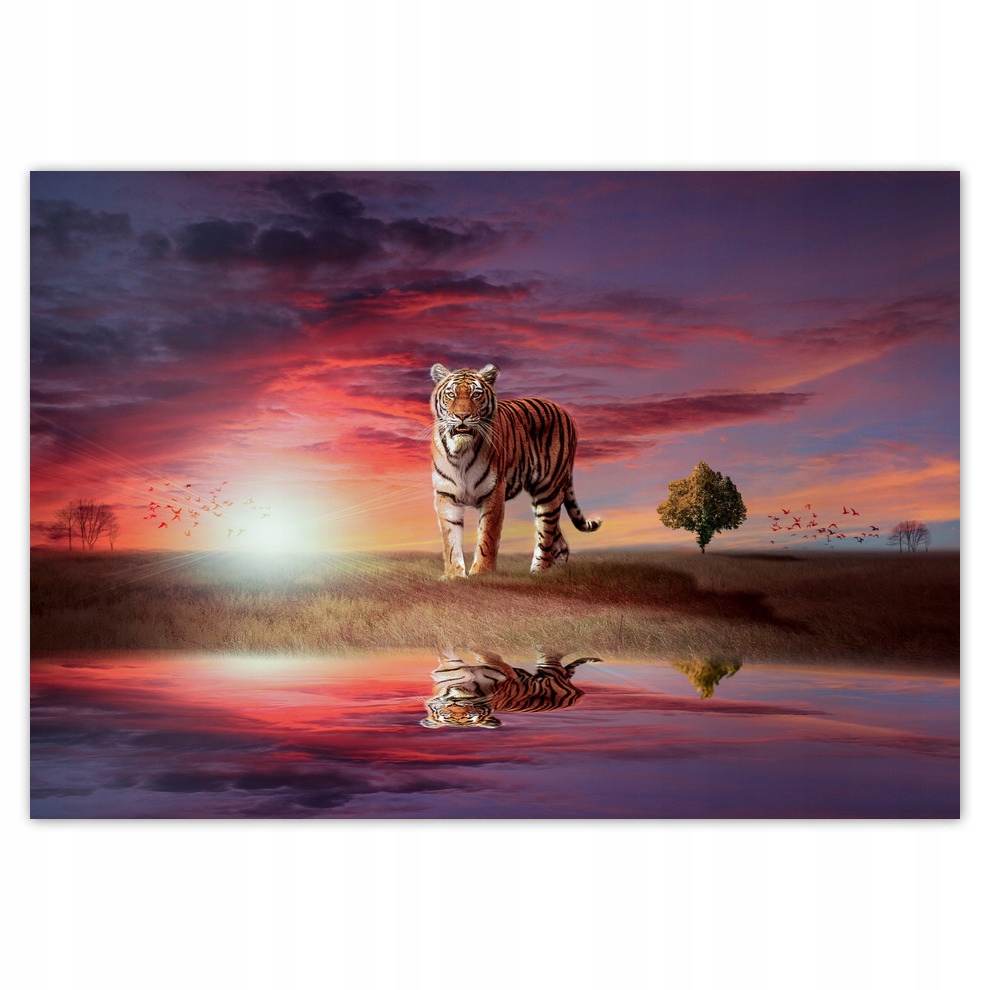 

Fototapety flizelina 416x290 Tygrys