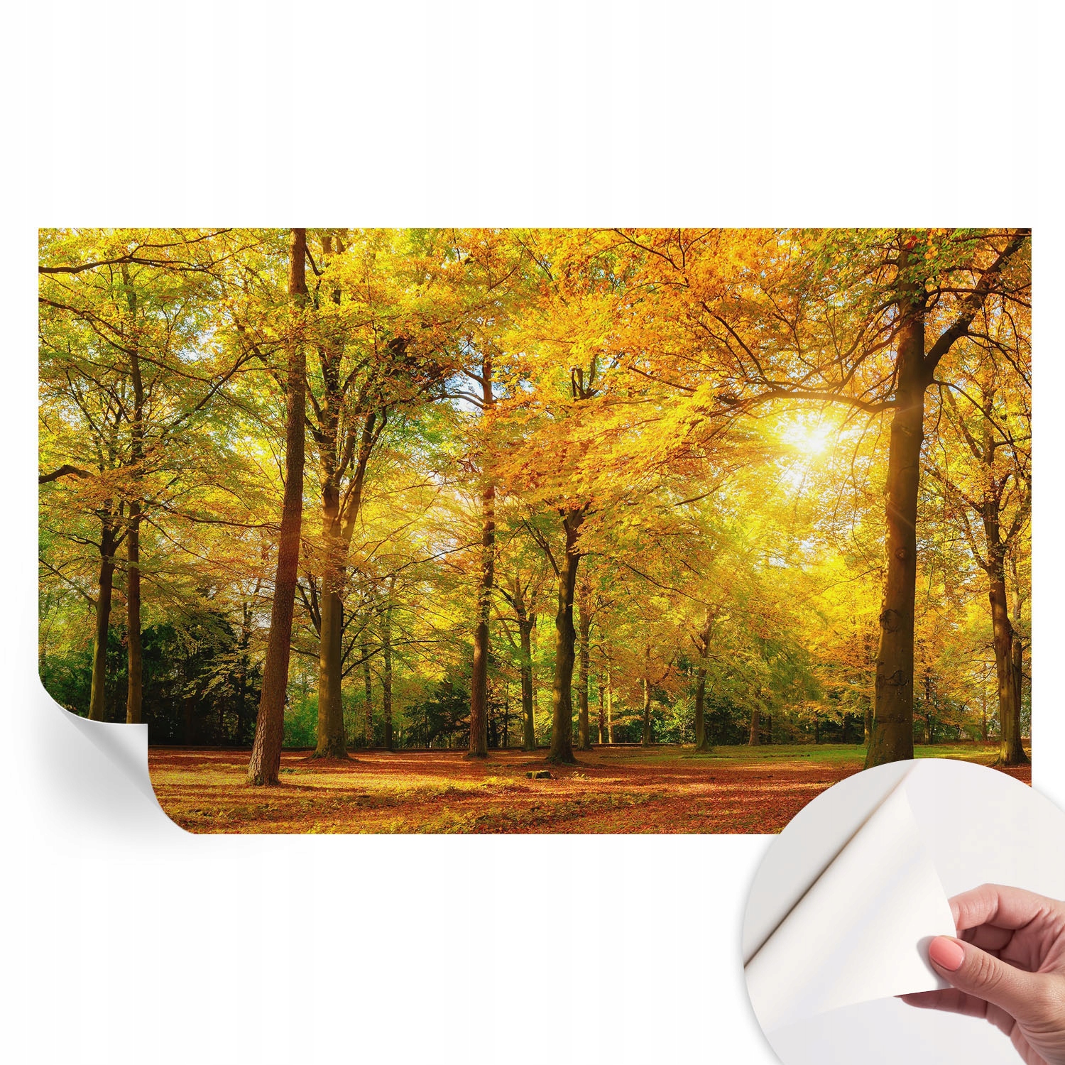 Designová fototapeta na zeď Samolepicí Zlaté listy 416 x 254 cm