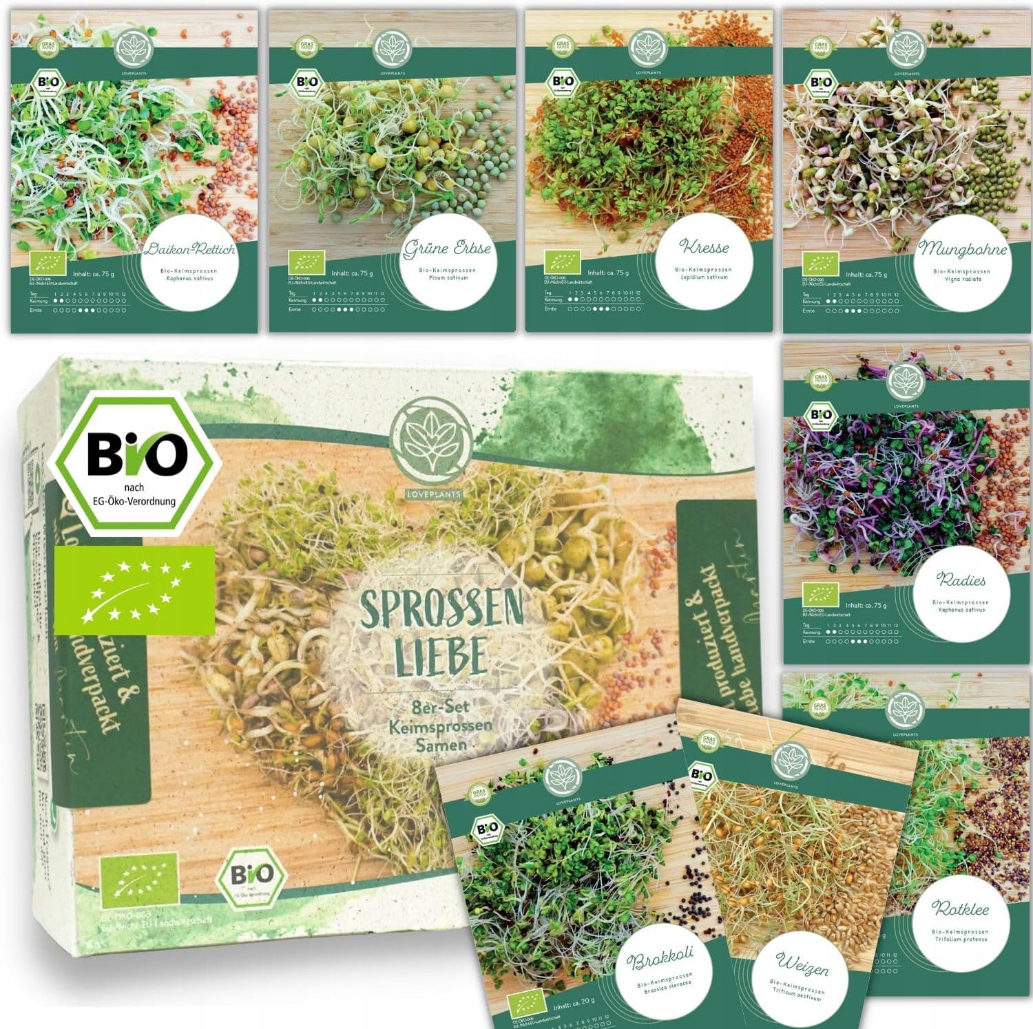 Levně Bio Klíčky Semena Sada 8 odrůd pro sklenici nebo domácí tácek