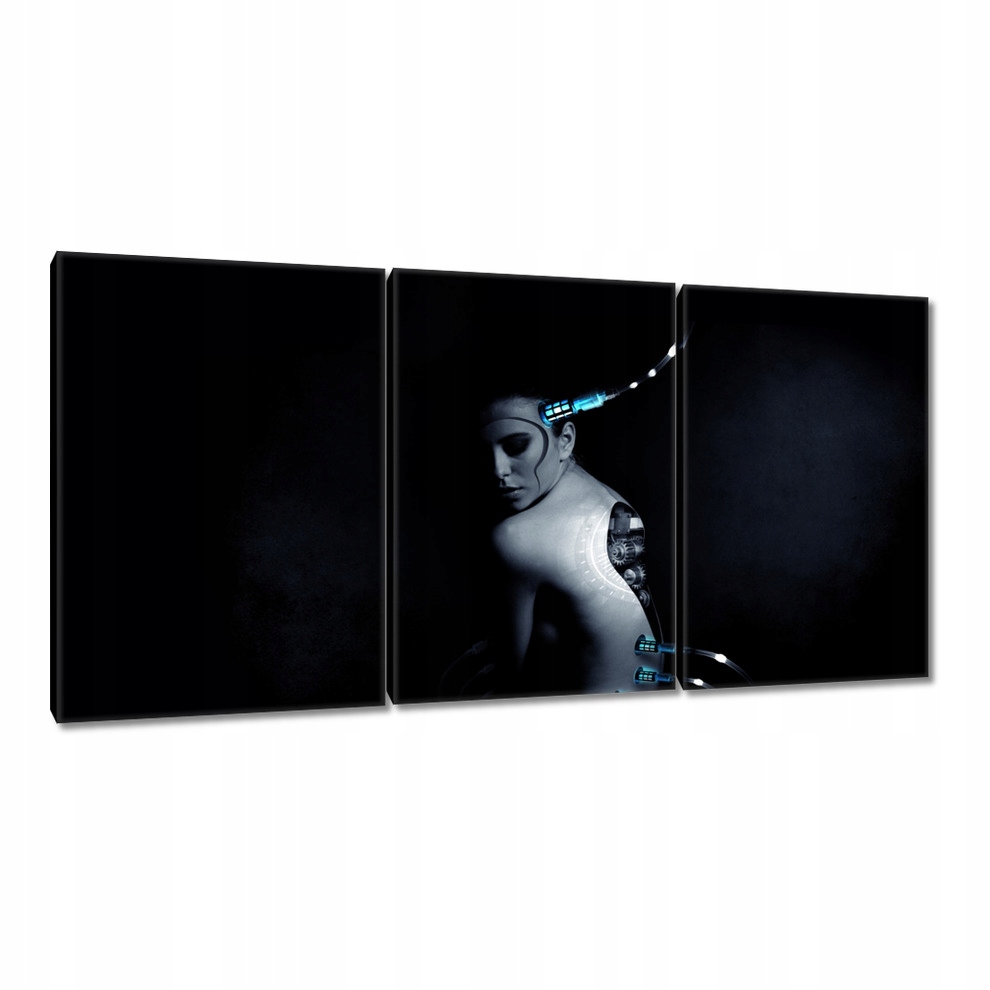 

Obrazy 120x60 HardCore Design Photo Hc