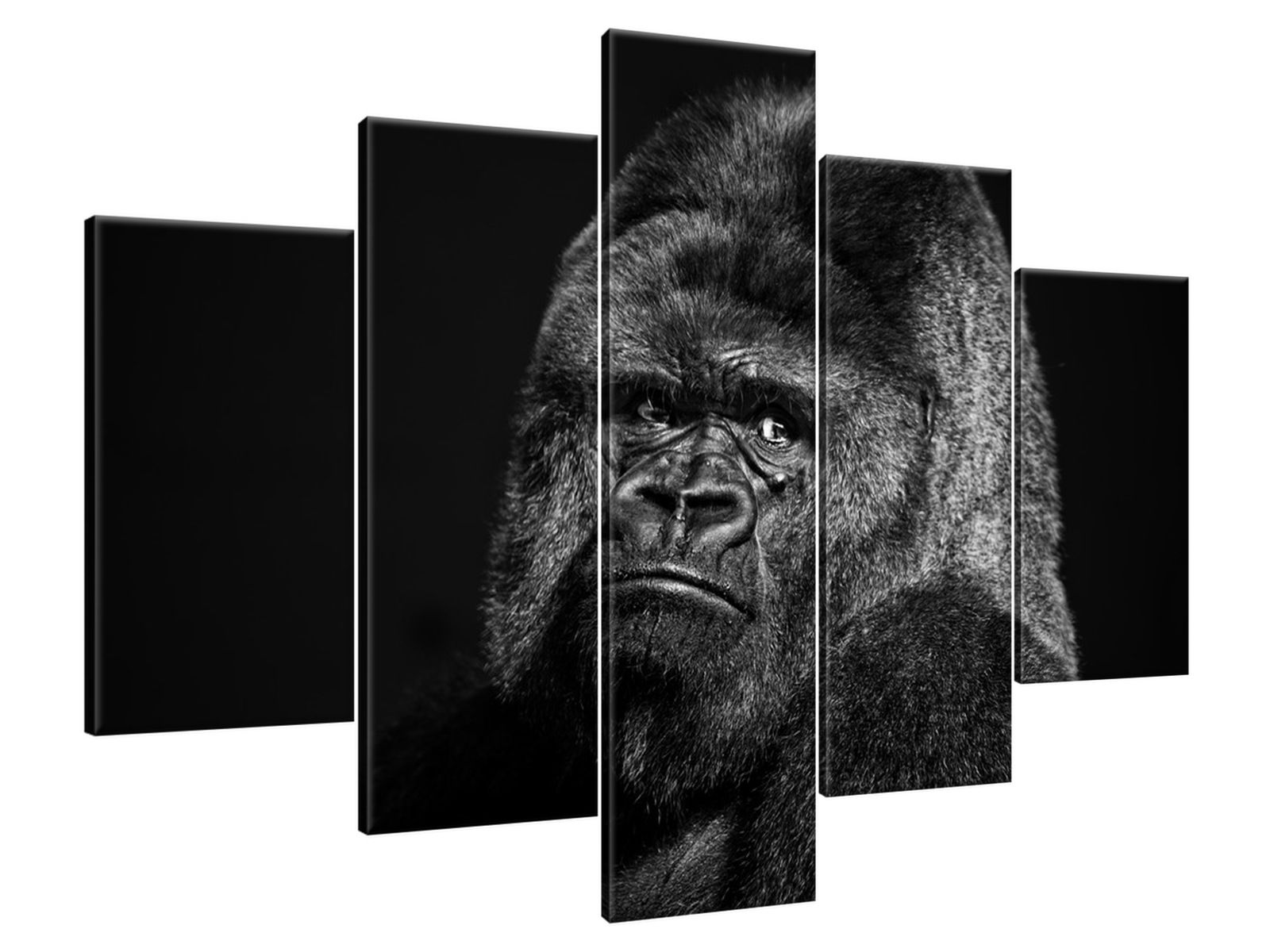 

Obraz Drukowany 150x105 Gorilla Face - Feans sztu
