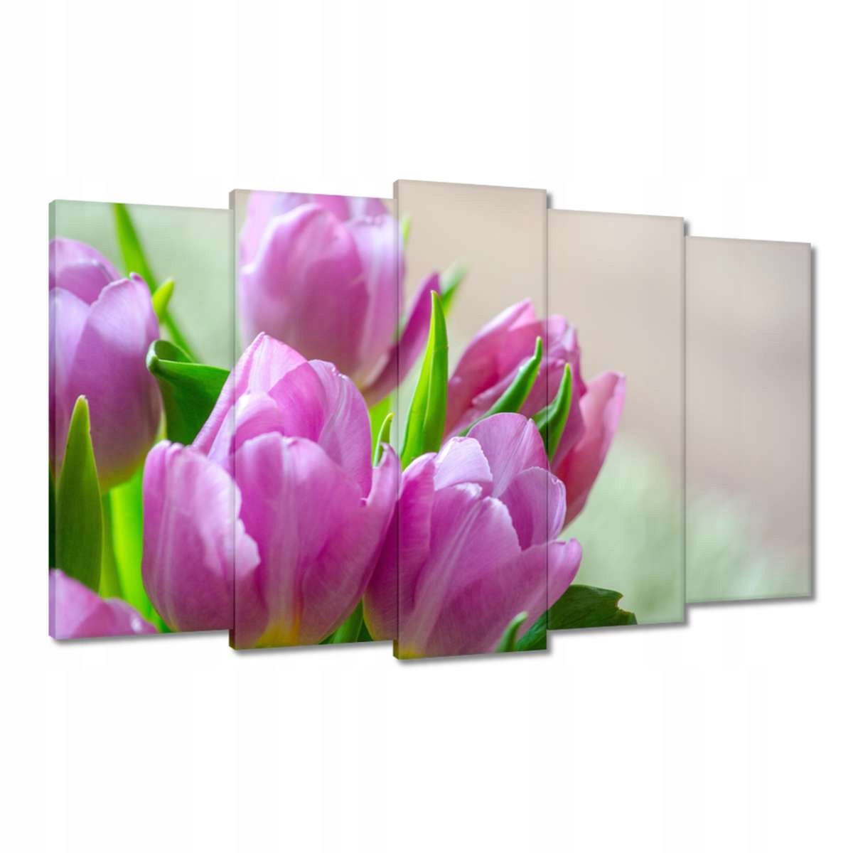 Obrazy 100x60 Tulipány Květiny