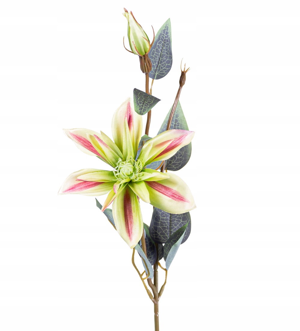 

Klematis Zielony Gałązka Sztuczne Kwiaty Clematis