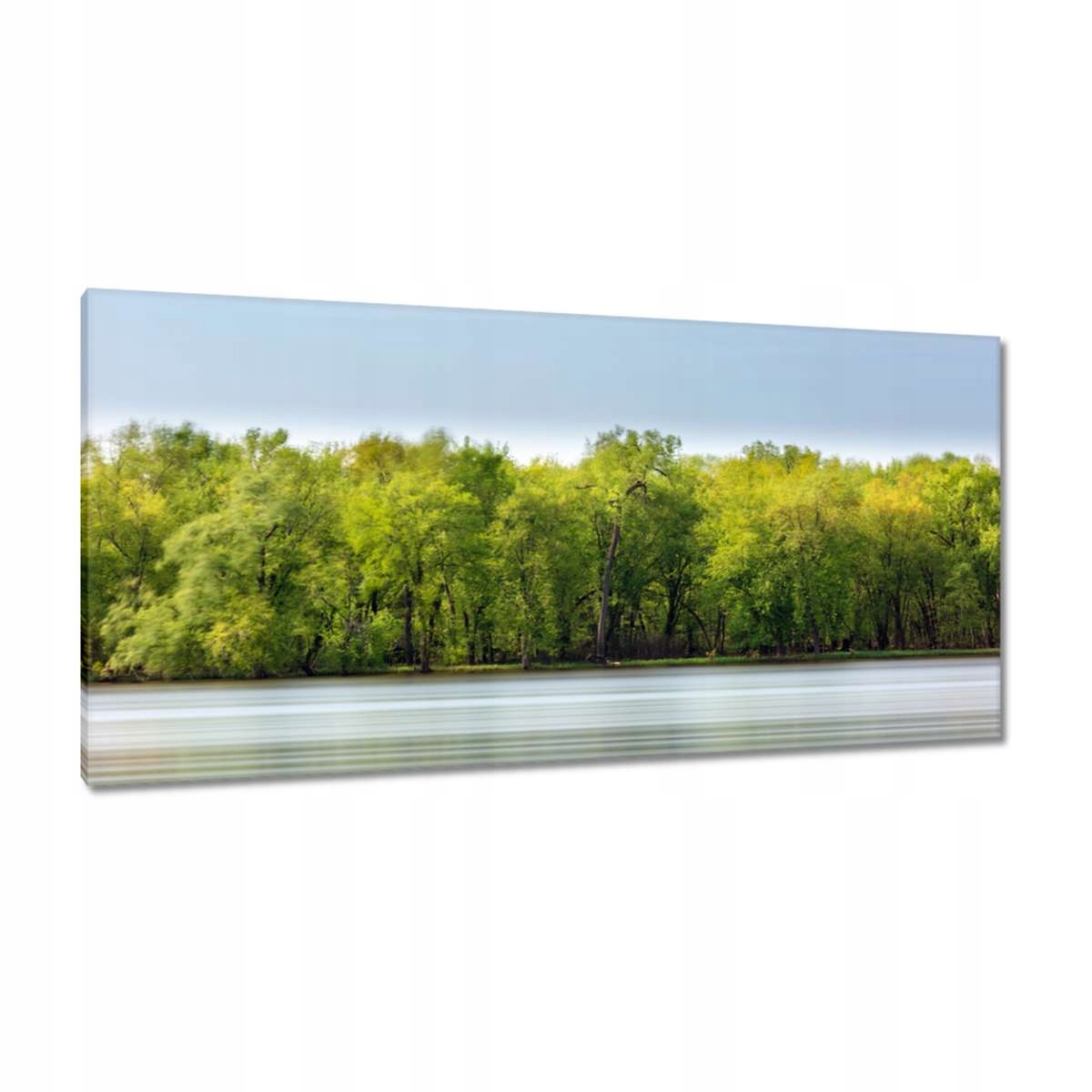 Obrazy 115x55 Les Jezero Nebe