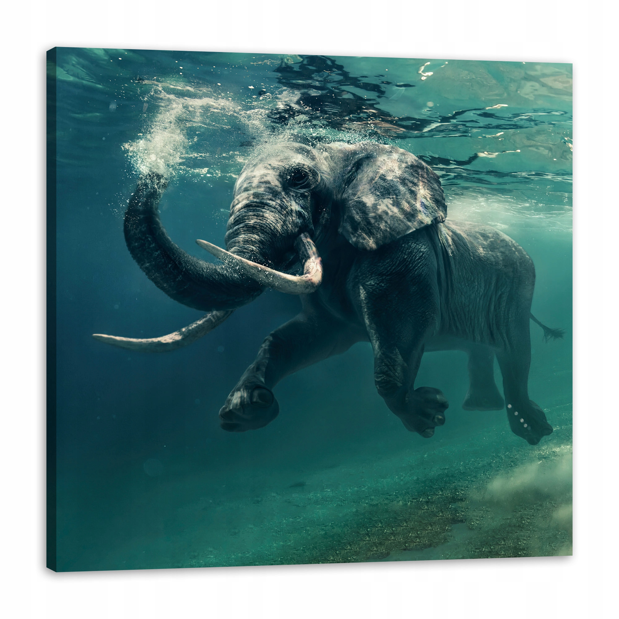 Obraz na plátně Plovoucí slon ve vodě Umění 90x90 cm