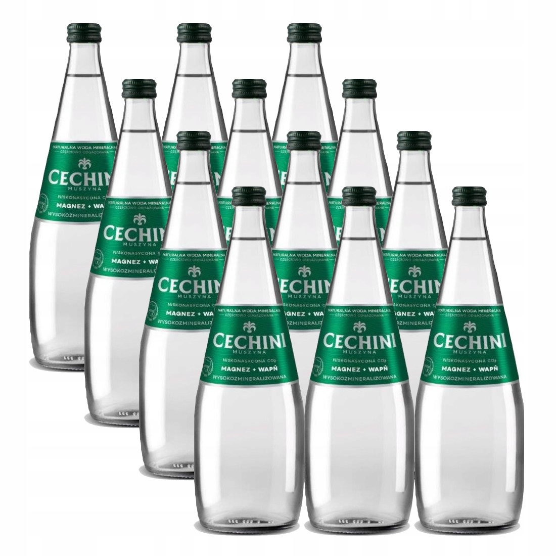 Levně 12 x nízkonasycená voda Cechini Muszyna vysoce mineralizovaná – skleněná 0,7 l