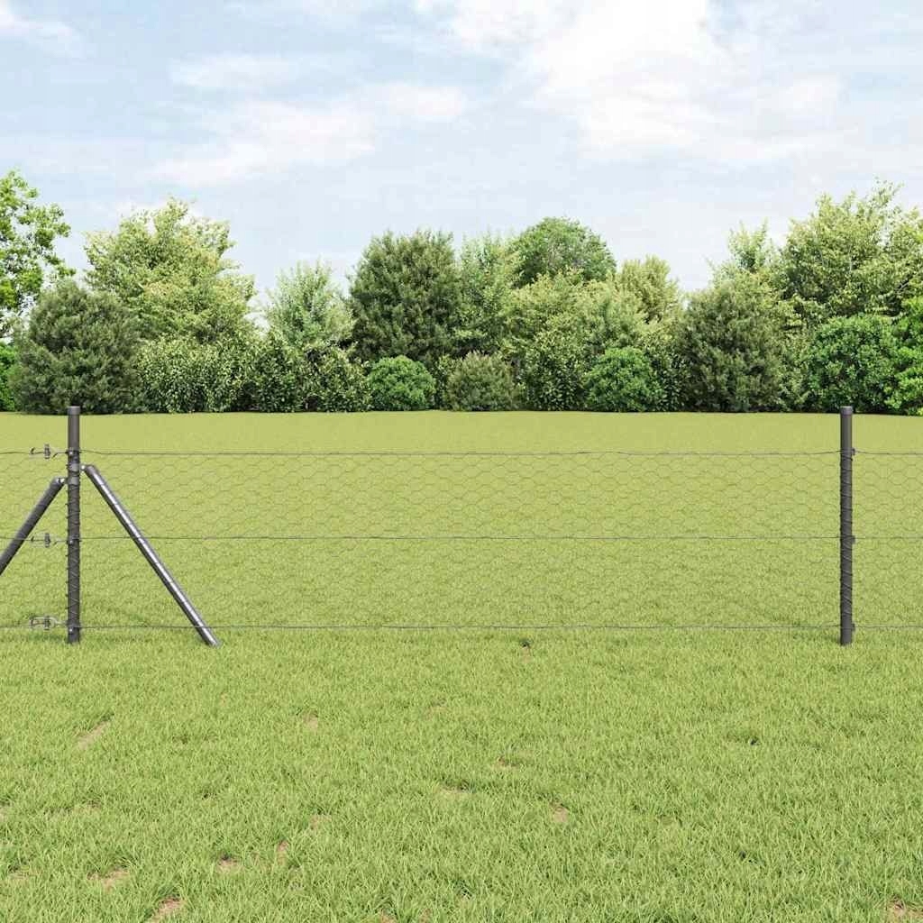 Oplocení plot Šedý 0.8 x 50 m Ocel