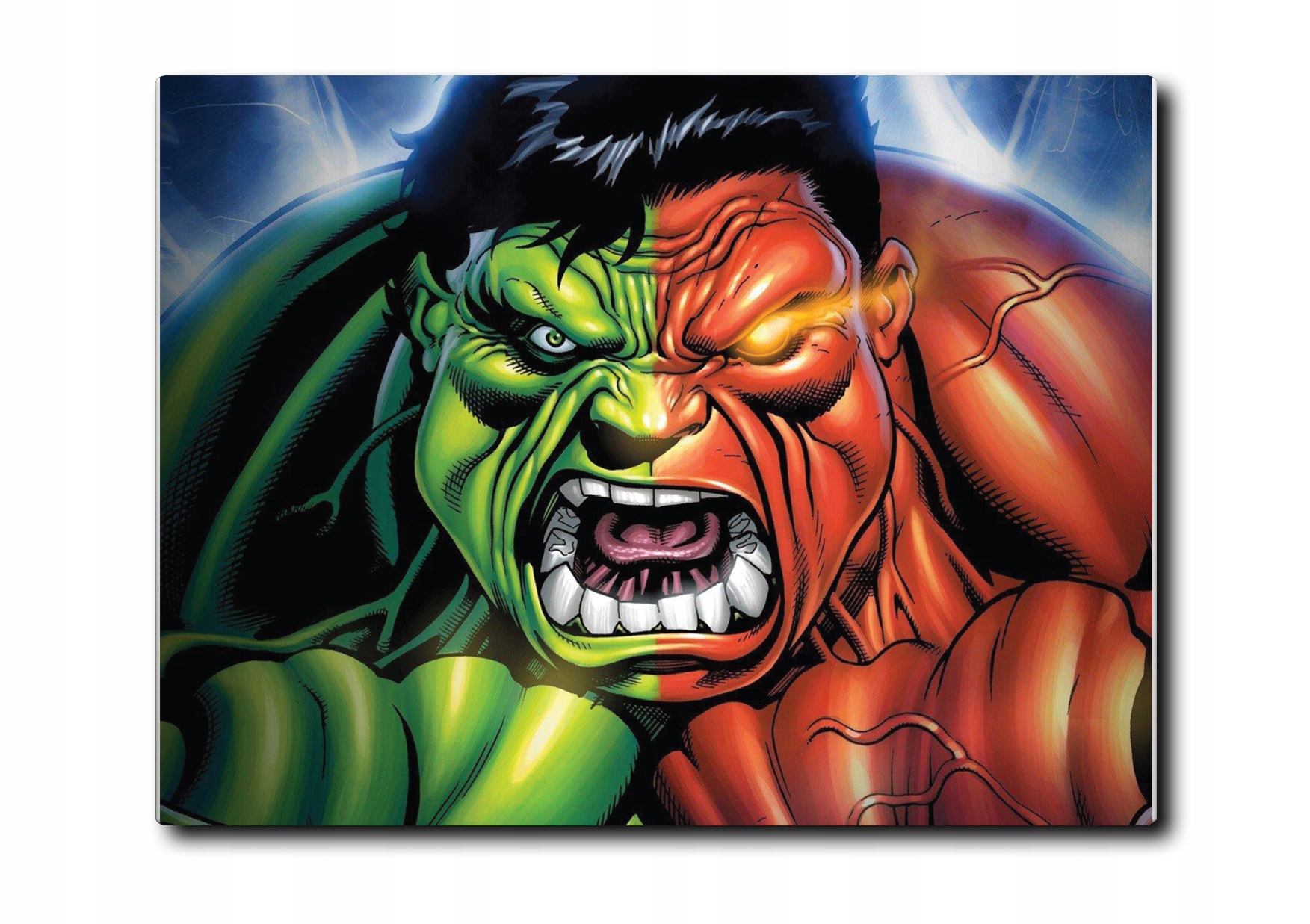 

Foto obraz 80x60 Hulk 04