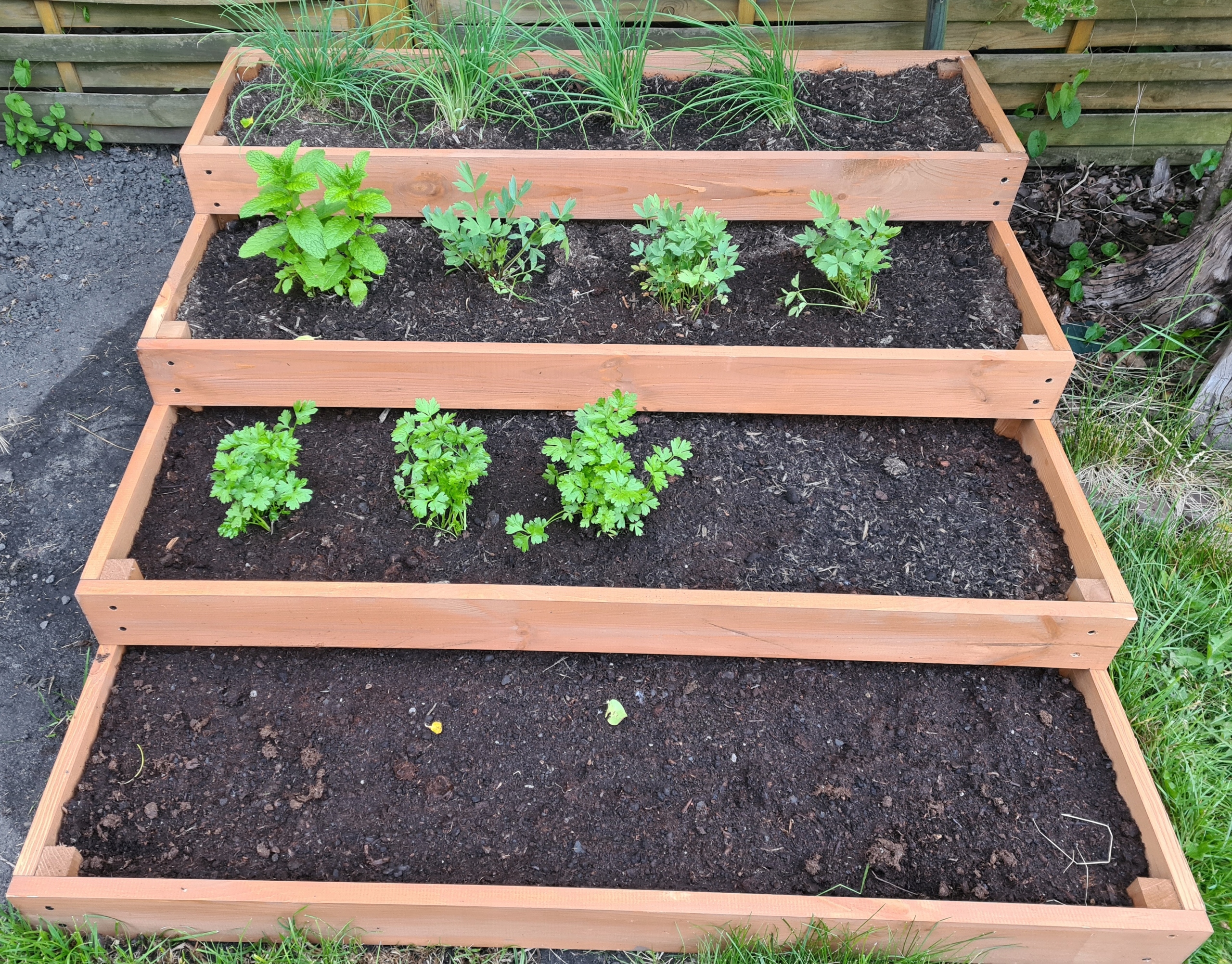 Warzywniak inspekt 4-piętrowy impregnowany, złożone boki, 120x120x40 Marka inna