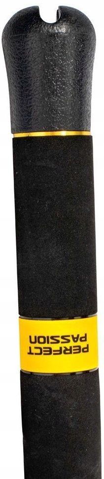 WĘDKA BLACK CAT PERFECT PASSION LONG RANGE 3,30m 6 Marka Black Cat