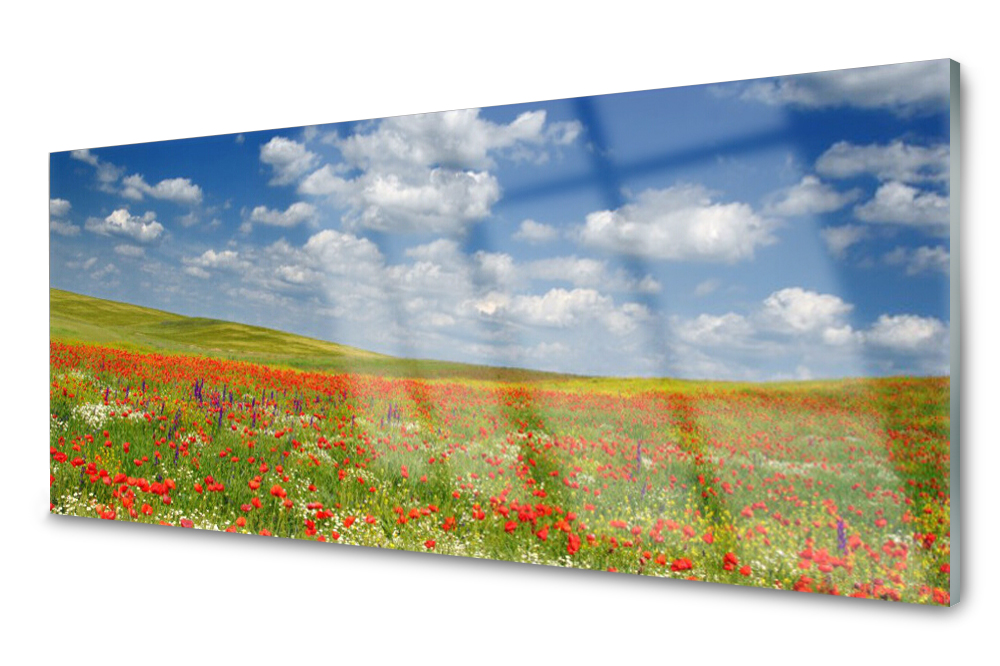 Sklenený panel do kuchyne Lúka Kvety 125x50