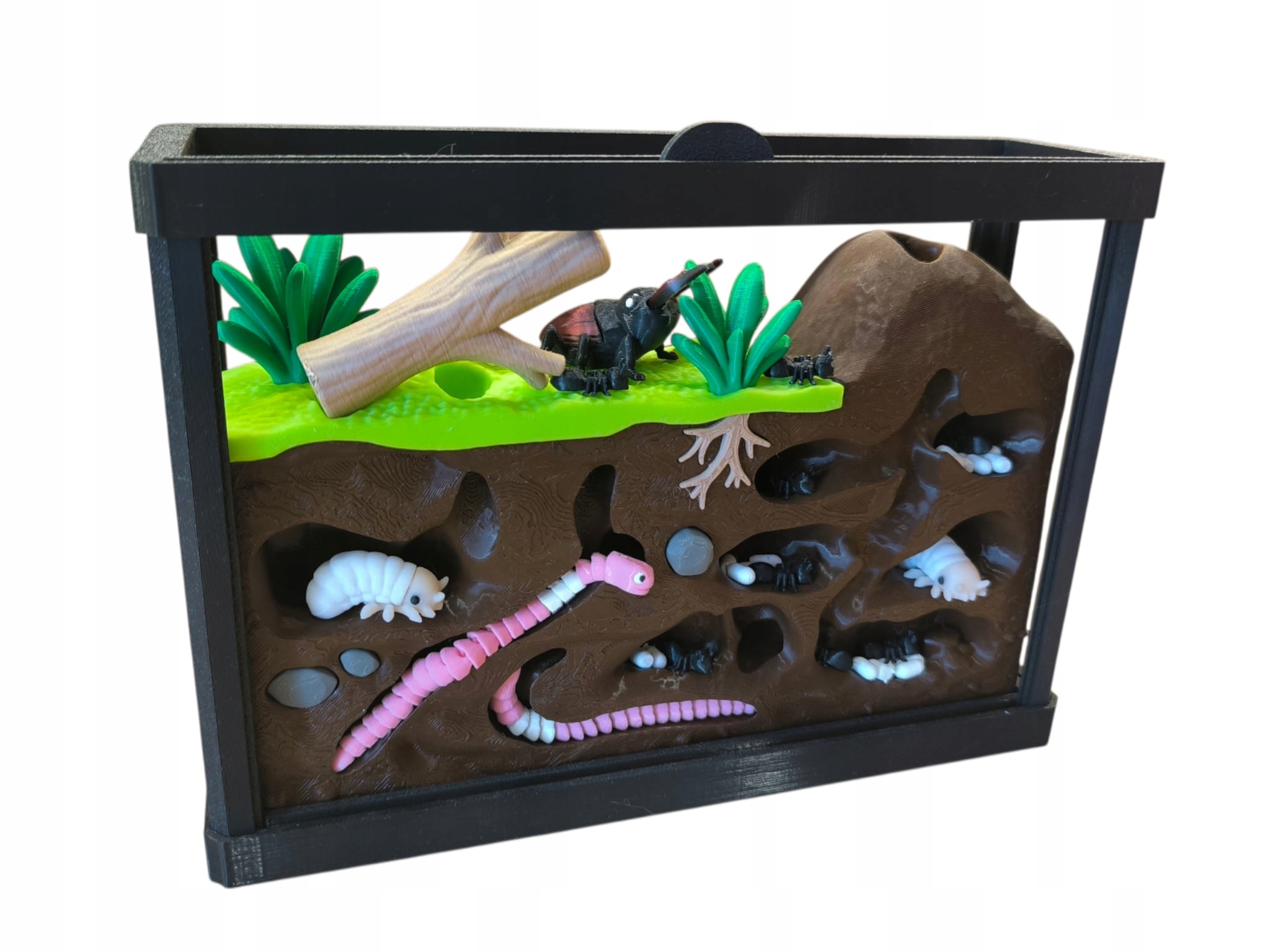 3D Terárium Svět Hmyzu A Bezobratlých Dekorativní Vzdělávací Sada
