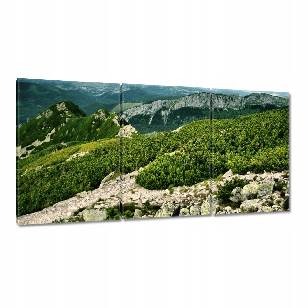 

Obrazy 120x60 Tatry Polskie góry Widok