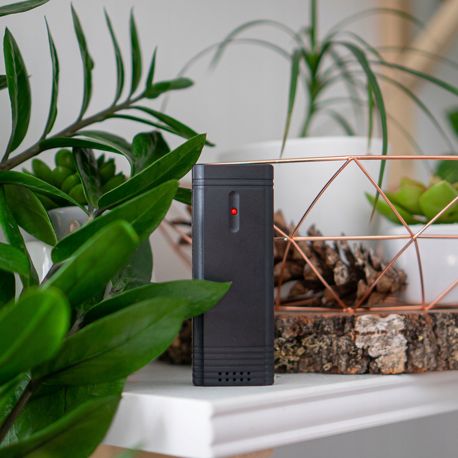 STACJA POGODY HIGROMETR 3 CZUJNIKI ZASILACZ BIOWIN Model 2measure 260708