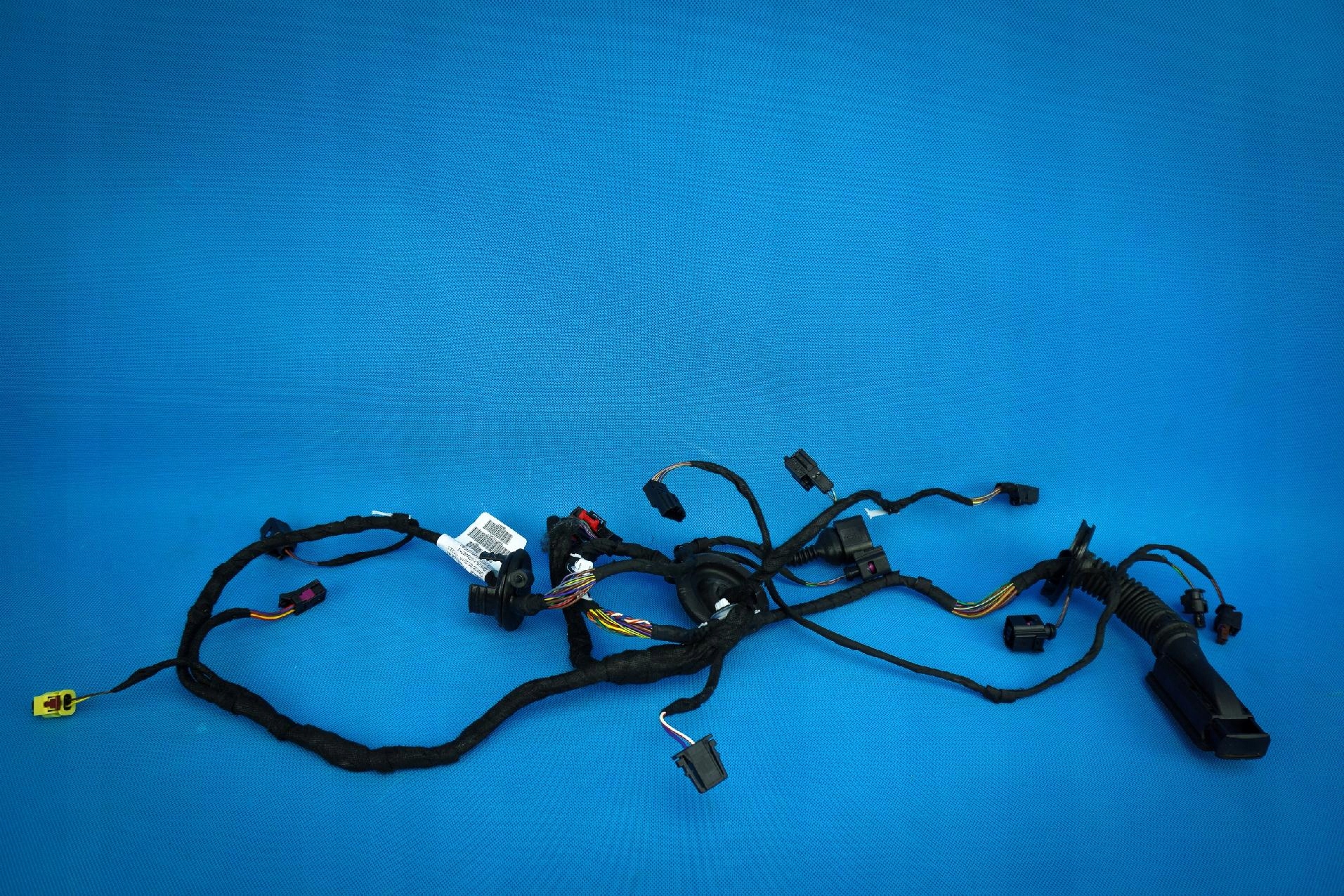 bundle electrical door Audi A7 RS7 4G8971029EE