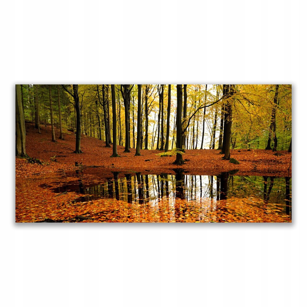 

Fotoobraz akryl wiszący 140x70 Las Natura Drzewa