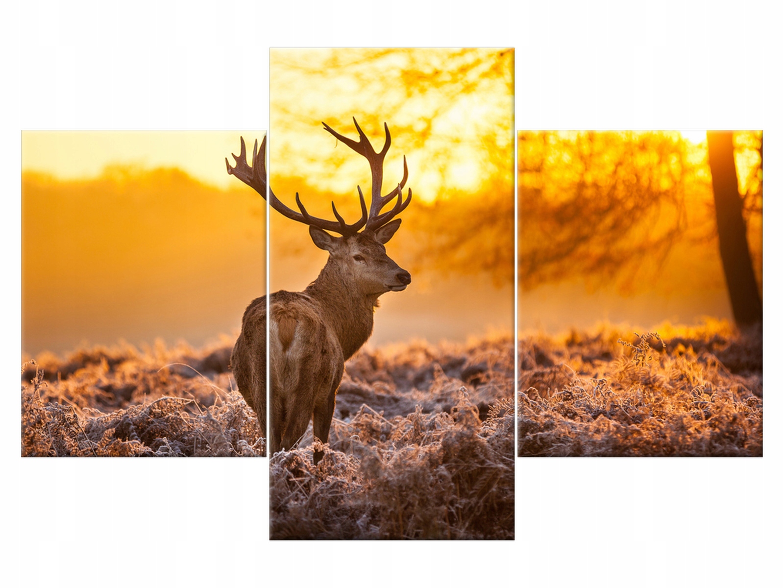 

Obraz 90x60 Pejzaż Jeleń Rośliny 3 elementowy