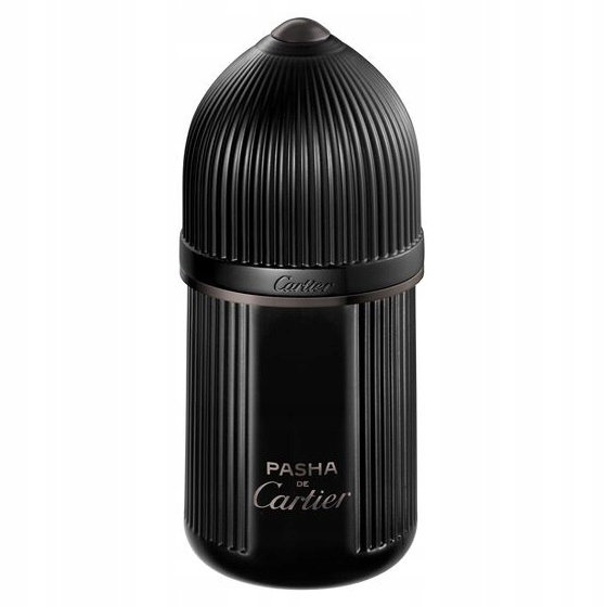 Cartier Pasha de Cartier Noir Absolu parfém ve spreji 100ml