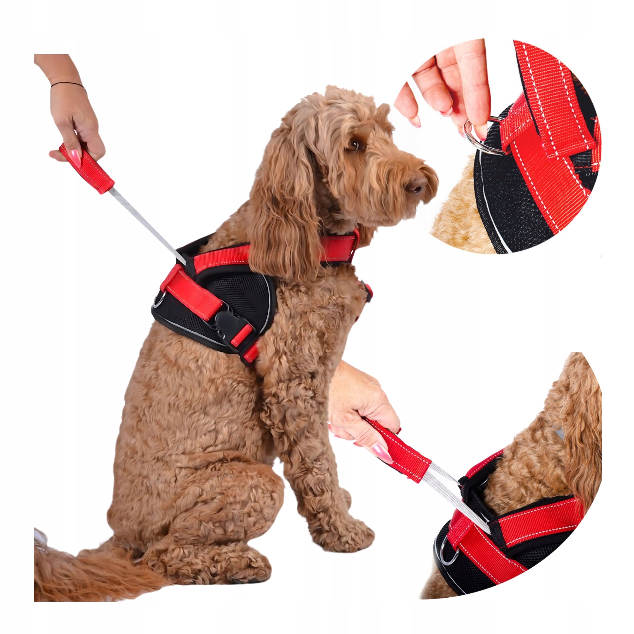 Levně Pásky pro Psa Beztlakové nastavitelné Silná velikost L lehká Pohodlná rukojeť