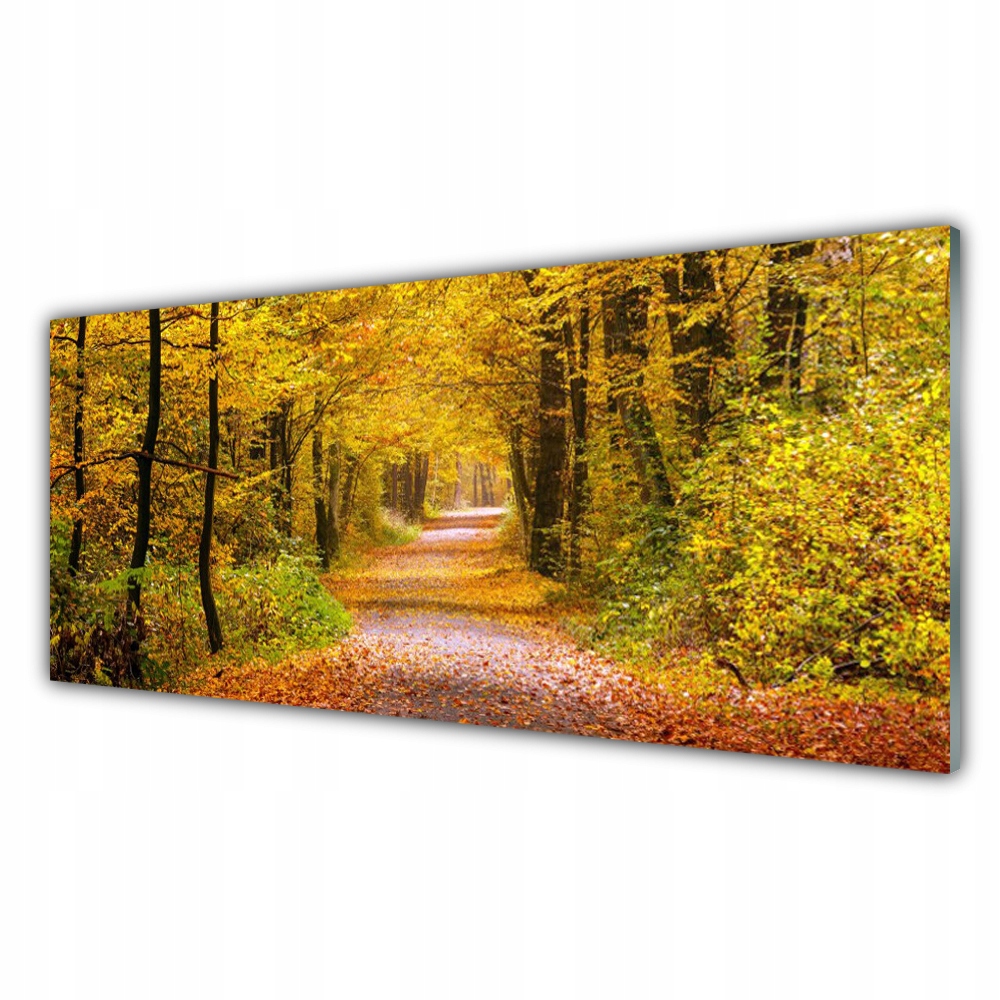

Fotoobraz akryl 125x50 Las Roślina Dróżka Natura