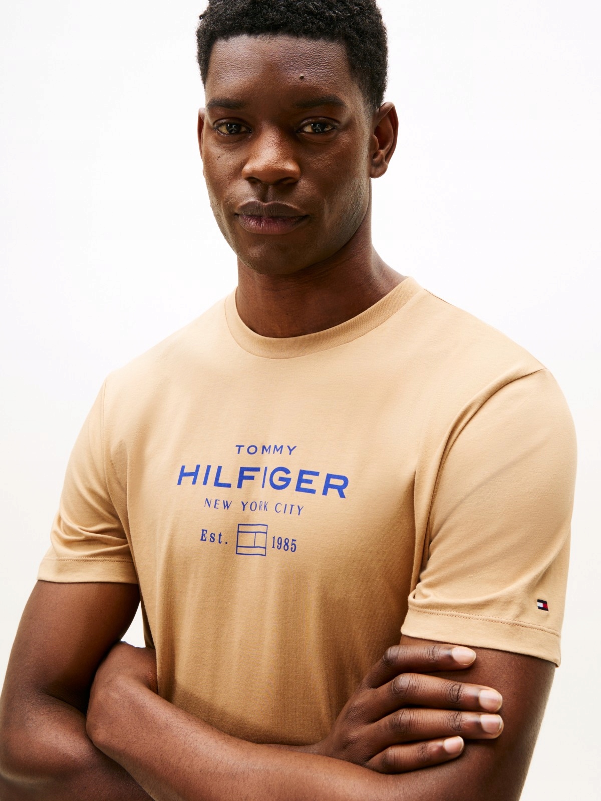 Pánské triko Tommy Hilfiger Stack Graphic Tee