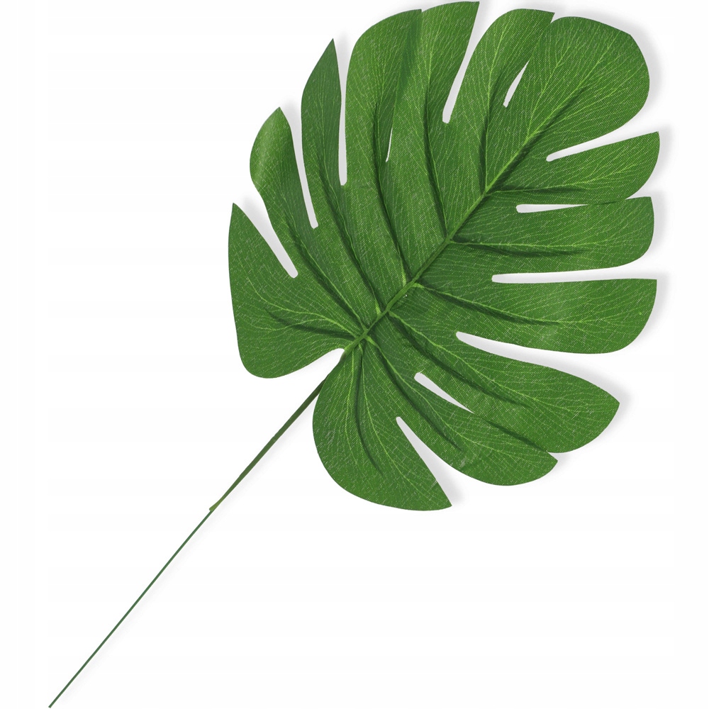 

Liść monstera sztuczny do kompozycji