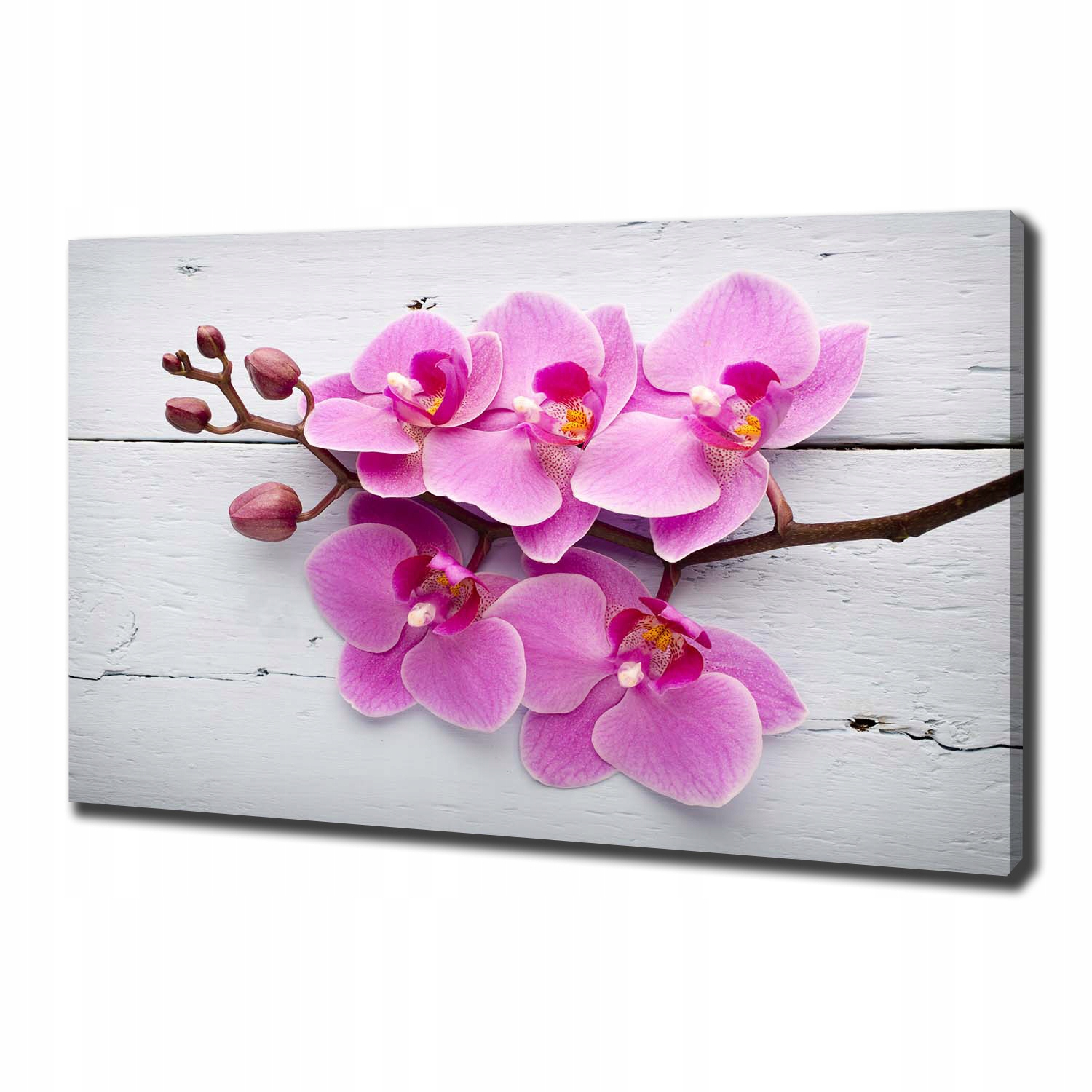 

Foto obraz na płótnie Orchidea na drewnie 100x70cm