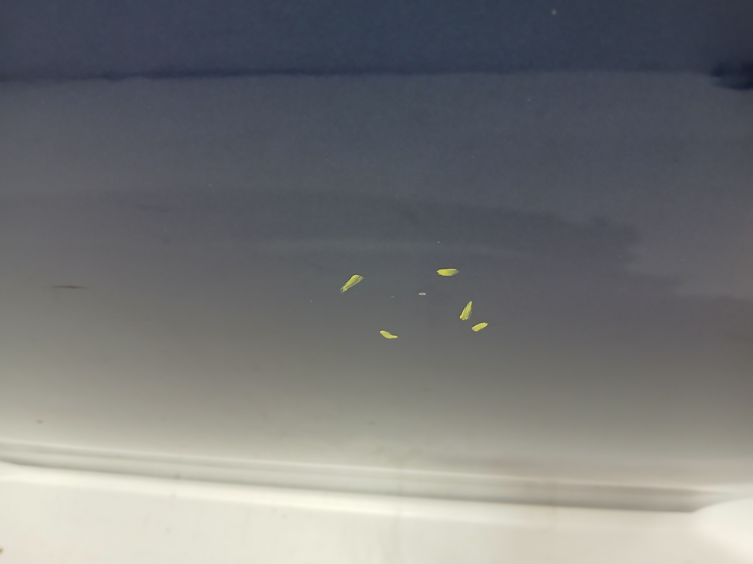 door right rear. BMW E61 381 LE MANS BLAU
