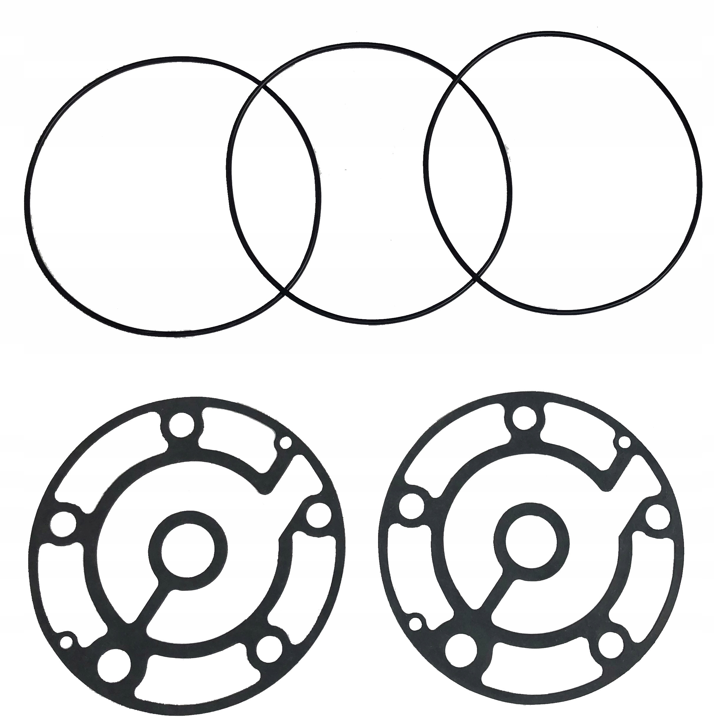 USZCZELNIENIE SPRĘŻARKI DELPHI SP10
