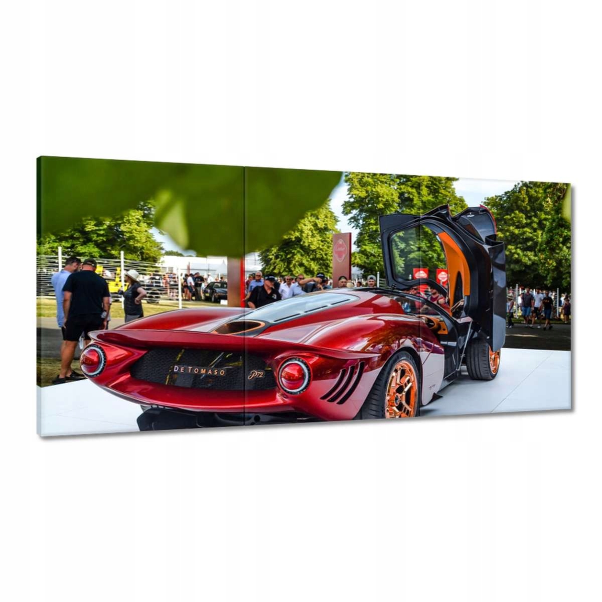 Obrazy 120x60 Detomaso Auto
