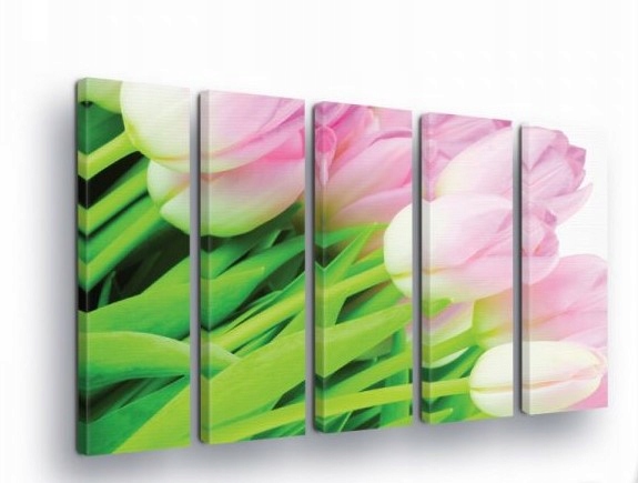 Obraz 150x100 Ružové tulipány jar kvety príroda sviežosť jemnosť