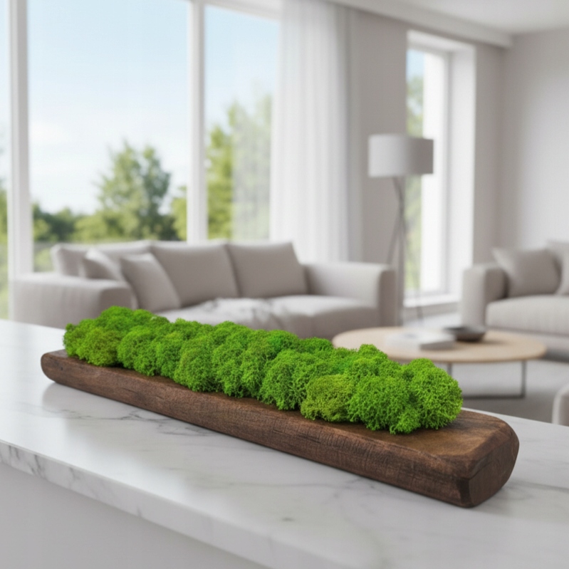 Dřevěný květináč s přírodním mechem a chrobotkem