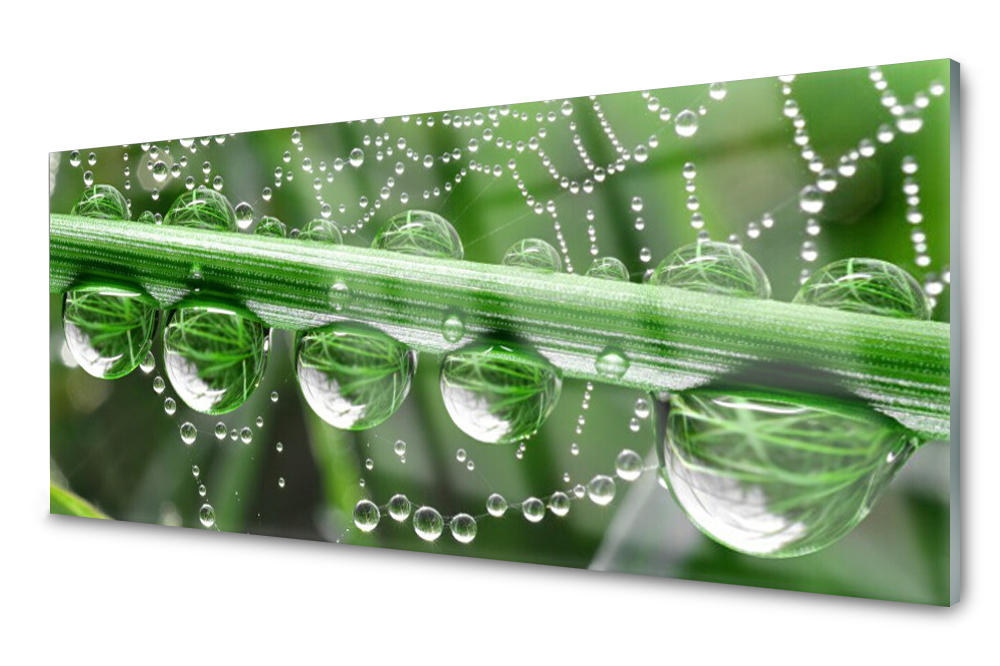 

Panel szklany do kuchni Pajęczyna Krople 125x50